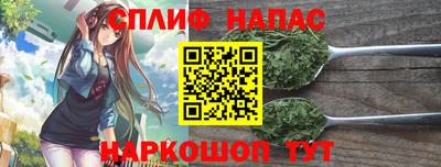 тгк Кохма