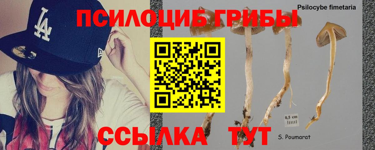 Псилоцибиновые грибы ЛСД Грязи